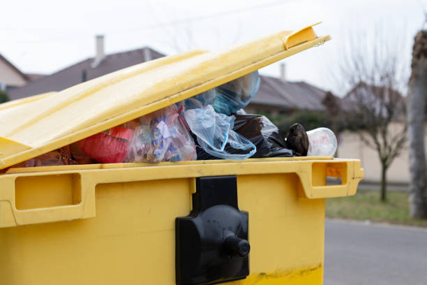 Best Garage Cleanout in Palmview South, TX